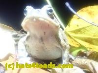 /home//u458753944/public_html/sourcegallery////////////////McKaig Nature Center/2024-09-27/P9271609.JPG